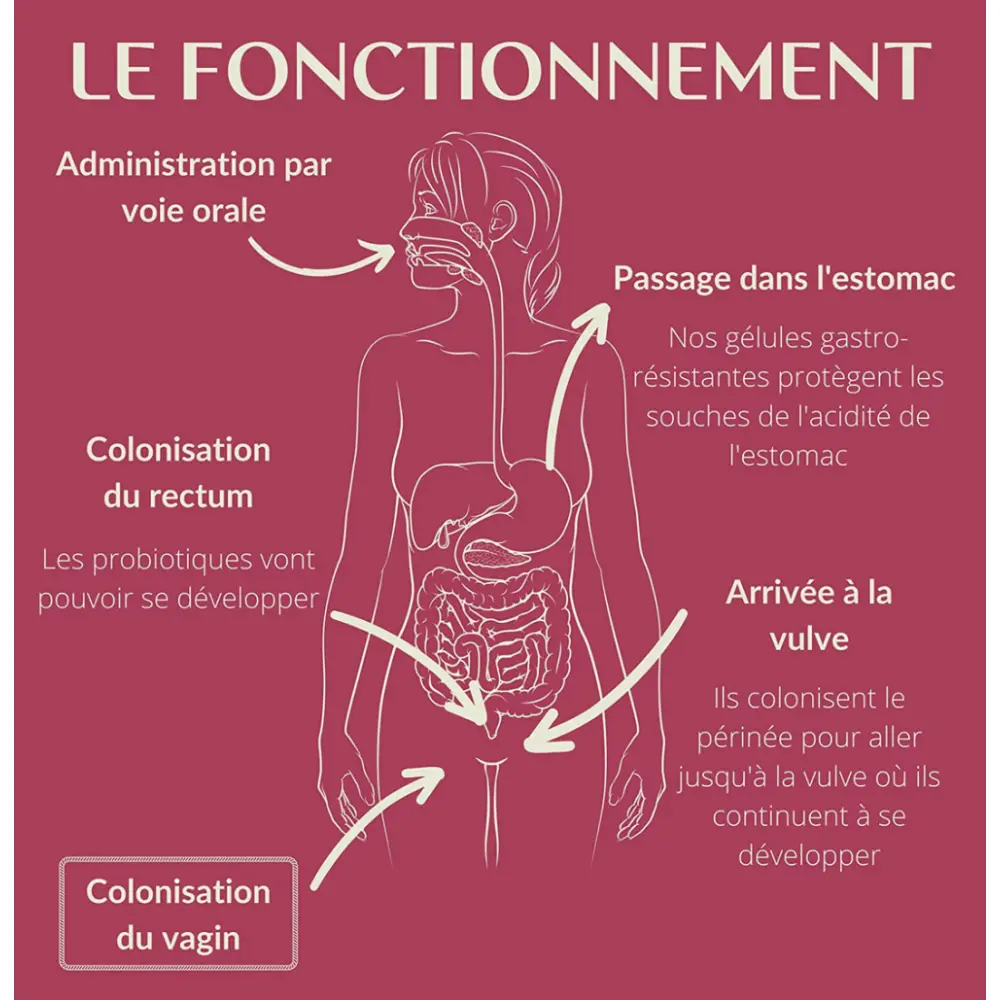 81VYyf7onuL._AC_SL1500