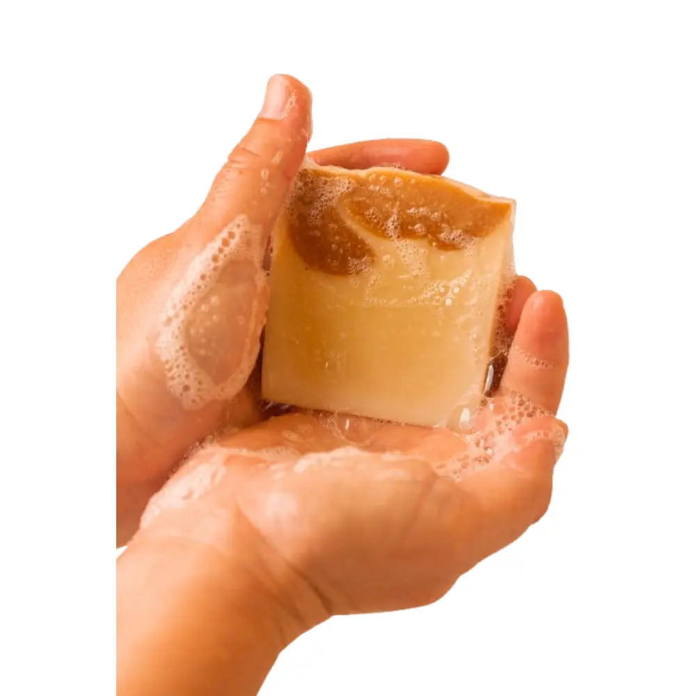 DSC09609-removebg-preview