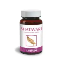 Shatavari - Ilapharm
