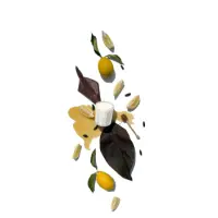 HivePetite_9b150bc9-116b-4f56-a206-0fe3f64ff16b