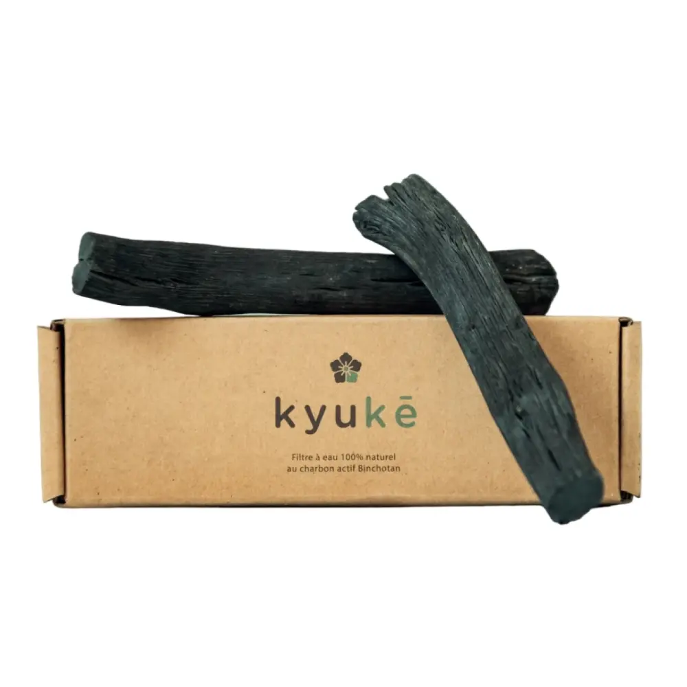 Ensemble_2_Charbons_Actifs_Binchotan_Wakayama_Japon_Filtration_Eau_1080x-PhotoRoom.png-PhotoRoom