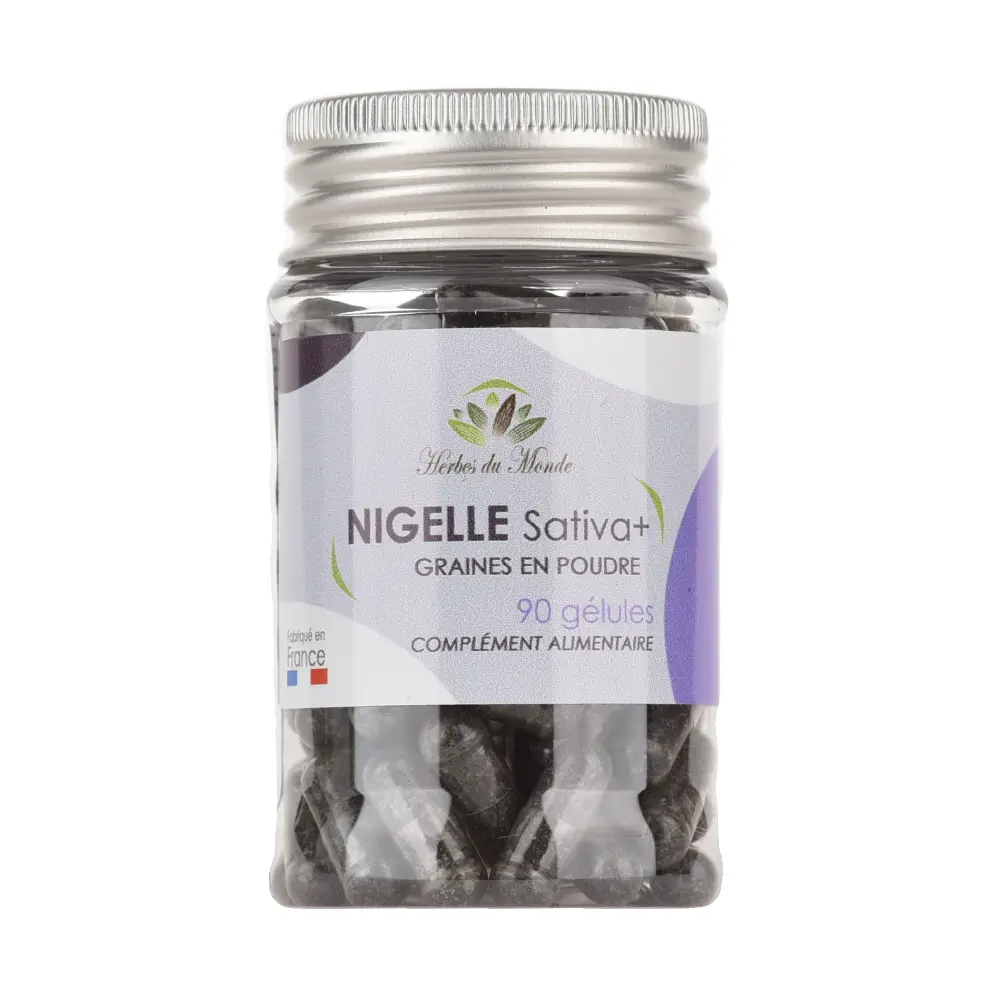 DSC_1533-3760325061366