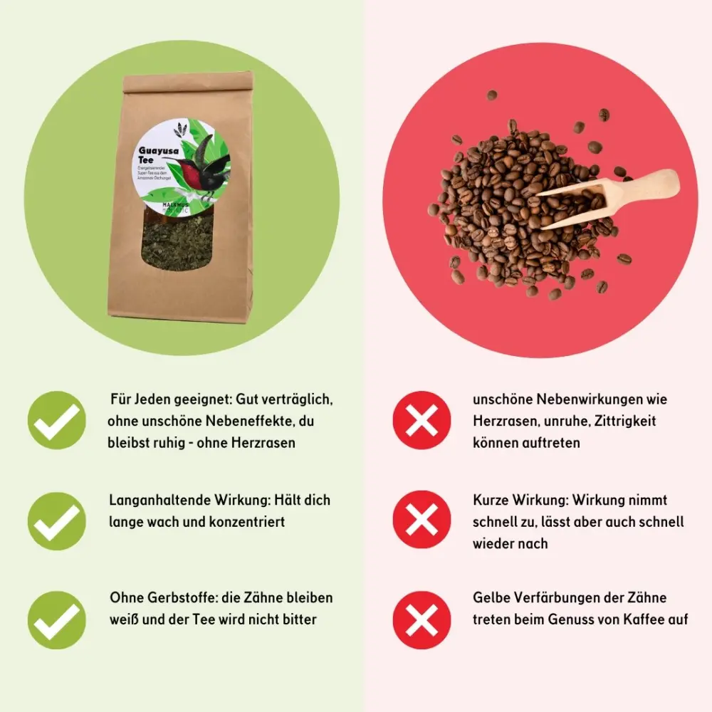guayusa-tee-124486