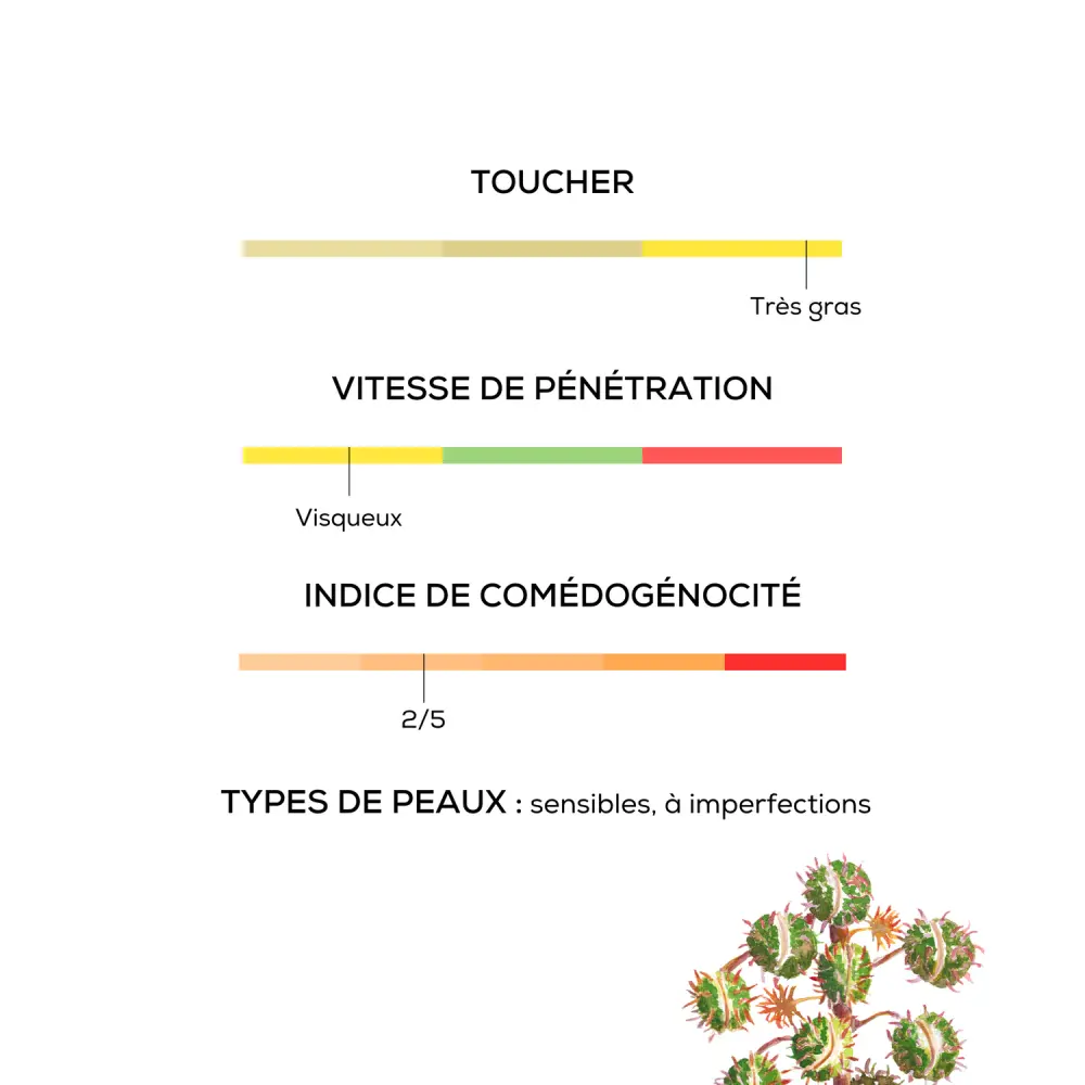 11_75aac9c9-a056-4421-91f8-14e5a31d0e56