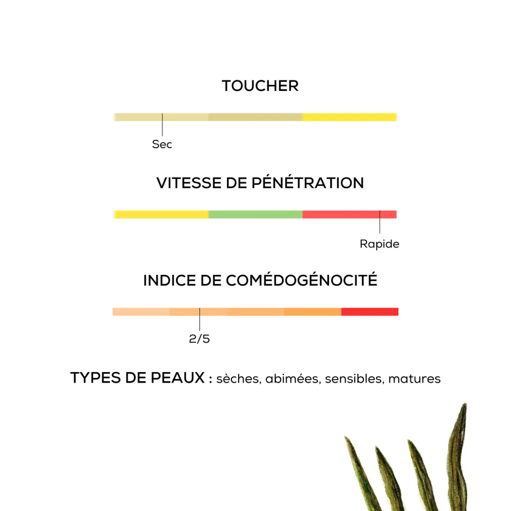 10_2a5cb816-83e6-41ca-904a-d982b6250283