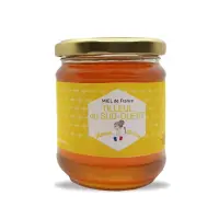 miel-tilleul-du-sud-ouest-1024