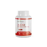 ALCAR-front