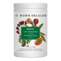 cactinea-bio-papaye-bio
