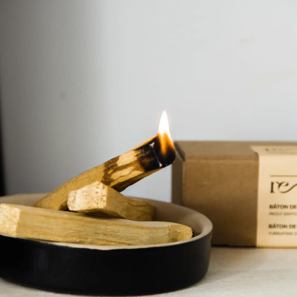 rezo-propose-des-batons-de-paolo-santo