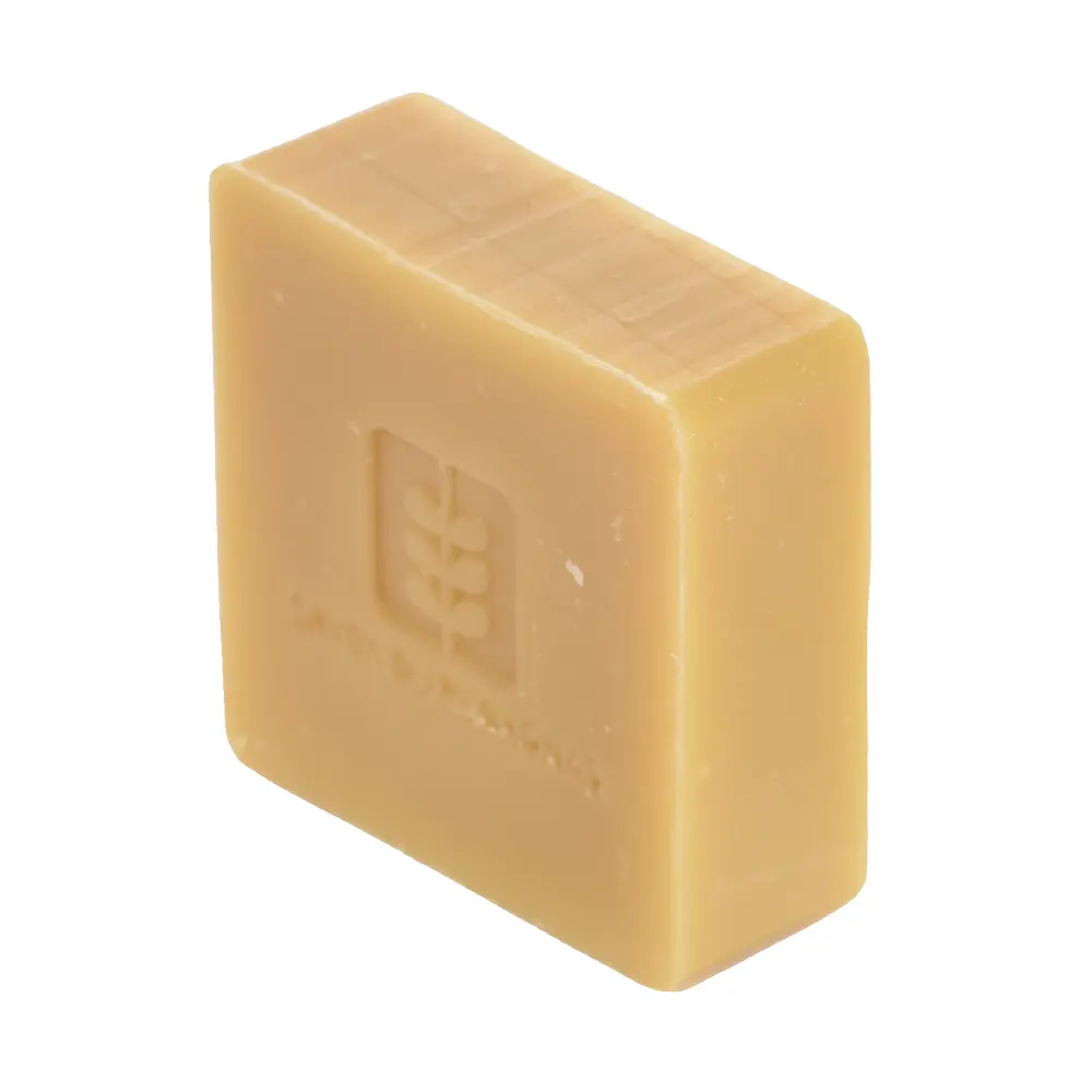 DSC_1201-3760209870121