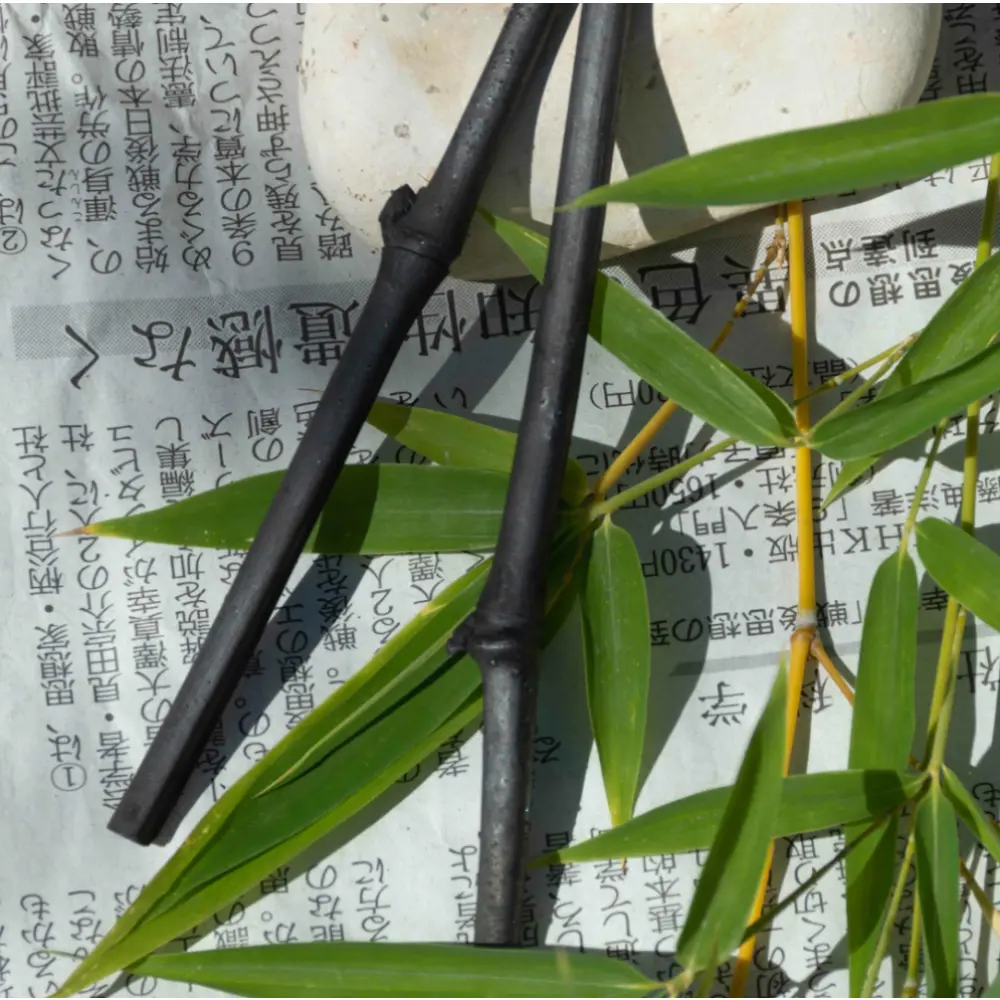 brindille-zero-takesumi-de-charbon-japonais