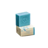 natural-myrte-ciste-PhotoRoom.png-PhotoRoom