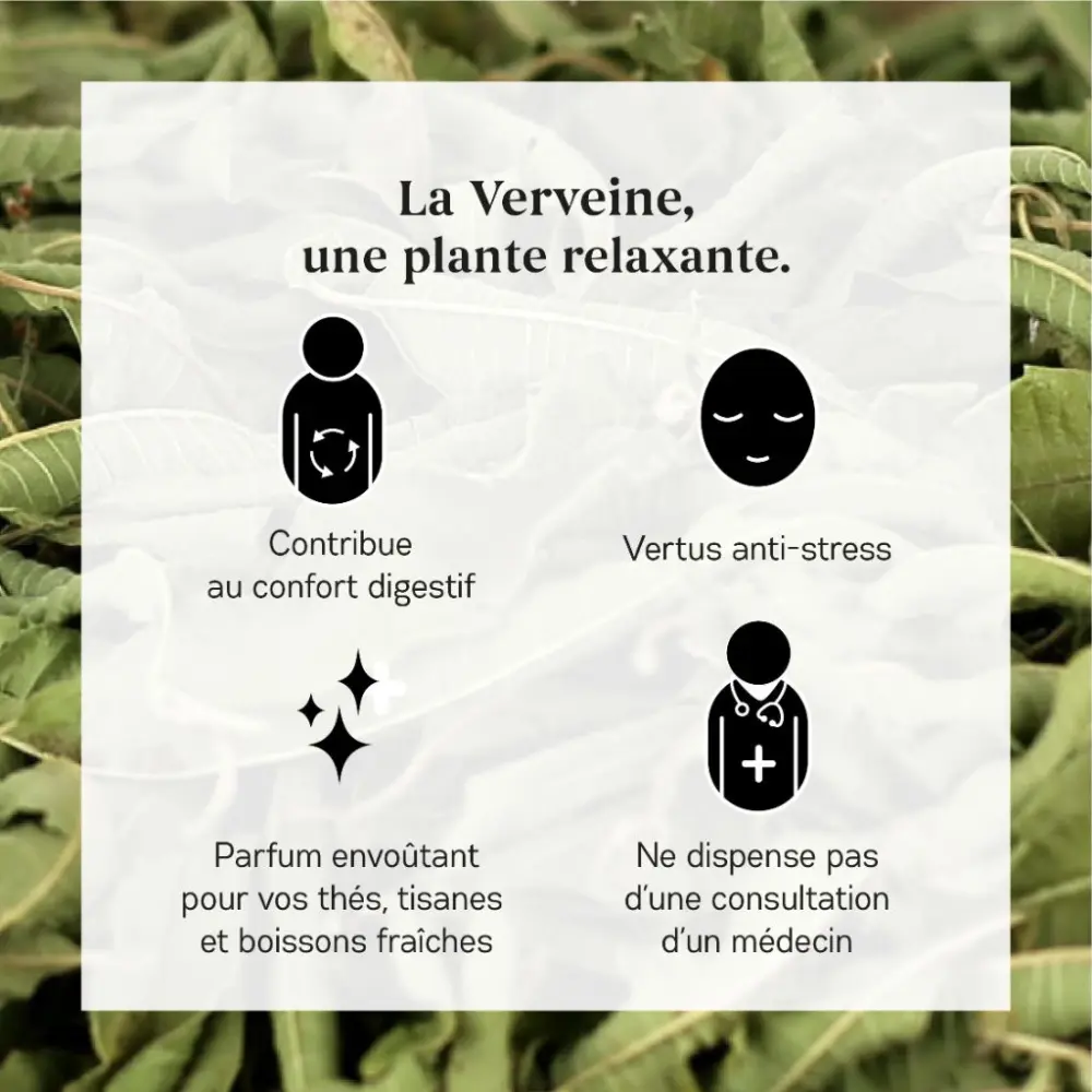 Verveine_3