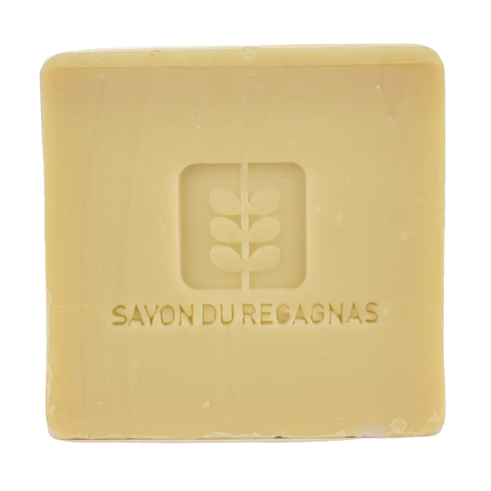 DSC_1234-3760209870145