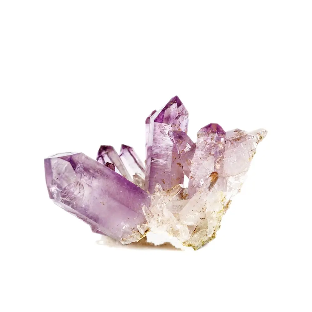 ELIXJOUV AMET-30 (4)