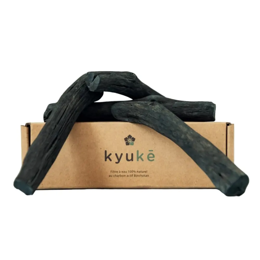 Set_4_Charbons_Actifs_Binchotan_Filtration_Eau_Wakayama_Japon_1080x-PhotoRoom.png-PhotoRoom