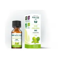 maloe-he-citron-vert-10ml-fr-1base