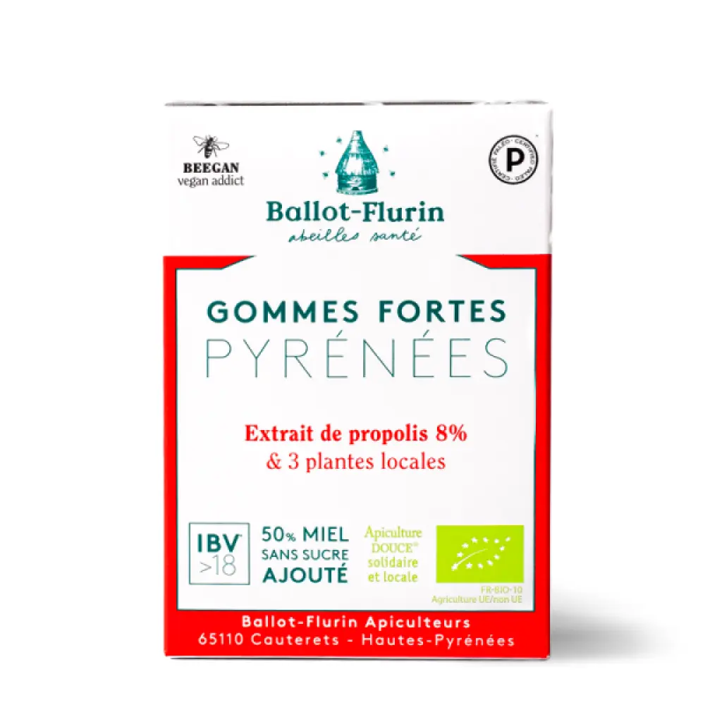 gommes-fortes-pyrenees