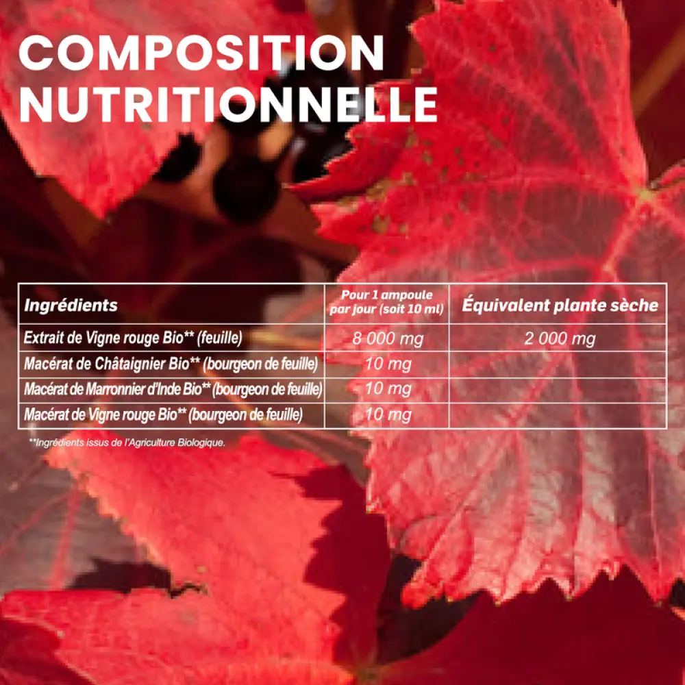 Vigne_Rouge_AMPOULES_1400X1400px6_841d6ede-7655-4ee6-9514-8ff1aced3635_800x