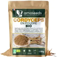 download-removebg-preview