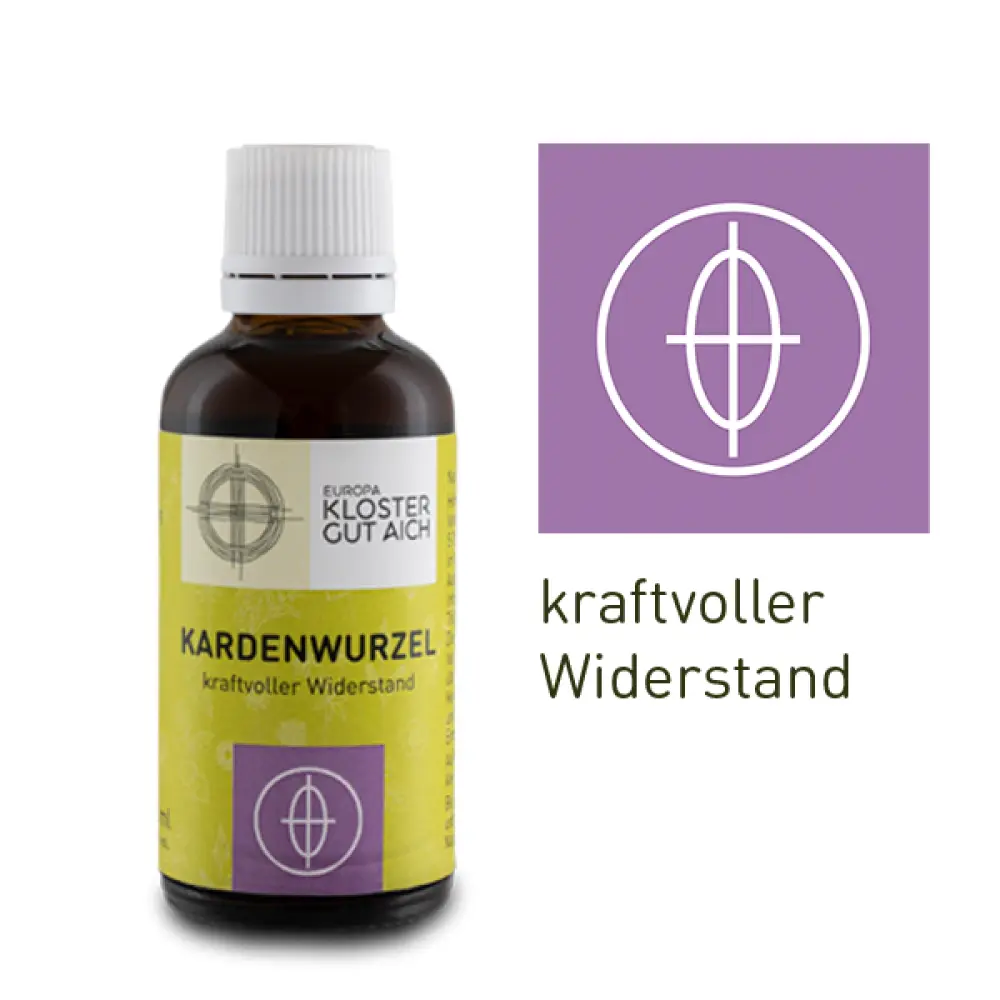 KardernwurzelMandala_webshop_l