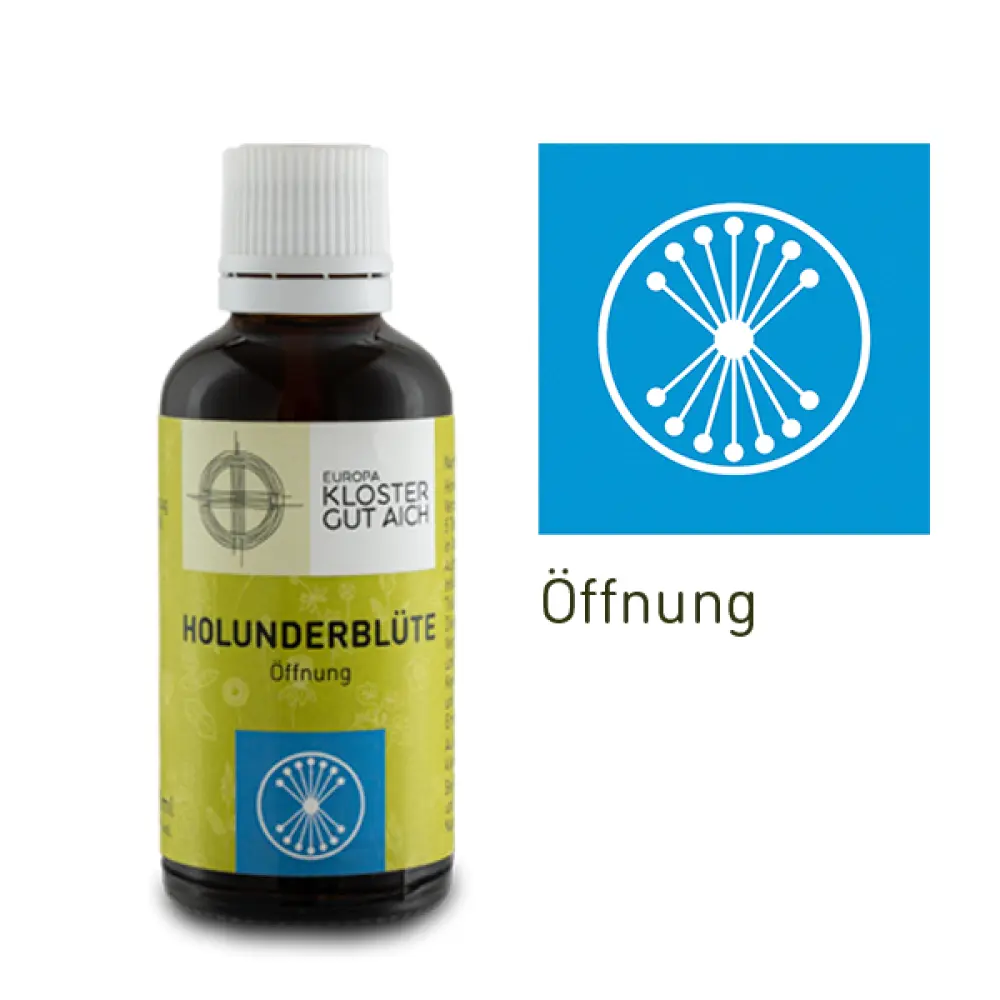 HolunderblüteMandala_webshop_l