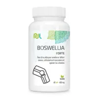 White BG 1500x1500 - 2024-11-21T164322.954