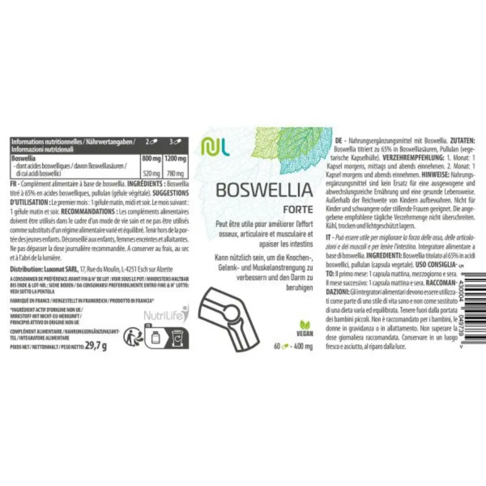 White BG 1500x1500 - 2024-11-21T164353.906