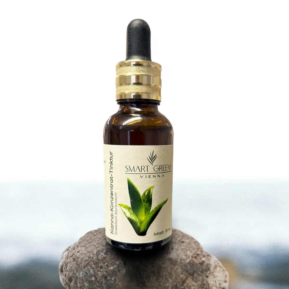 Kanna_Konzentrat-1