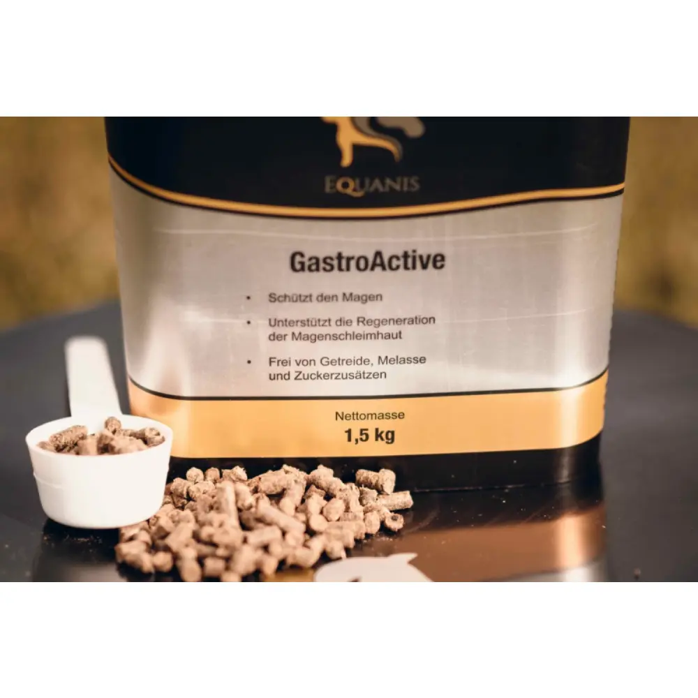 240429_Gastro-21-scaled