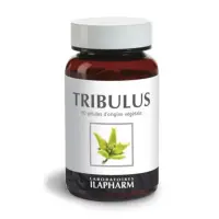 Capture d’écran 2023-03-17 à 10.31.30