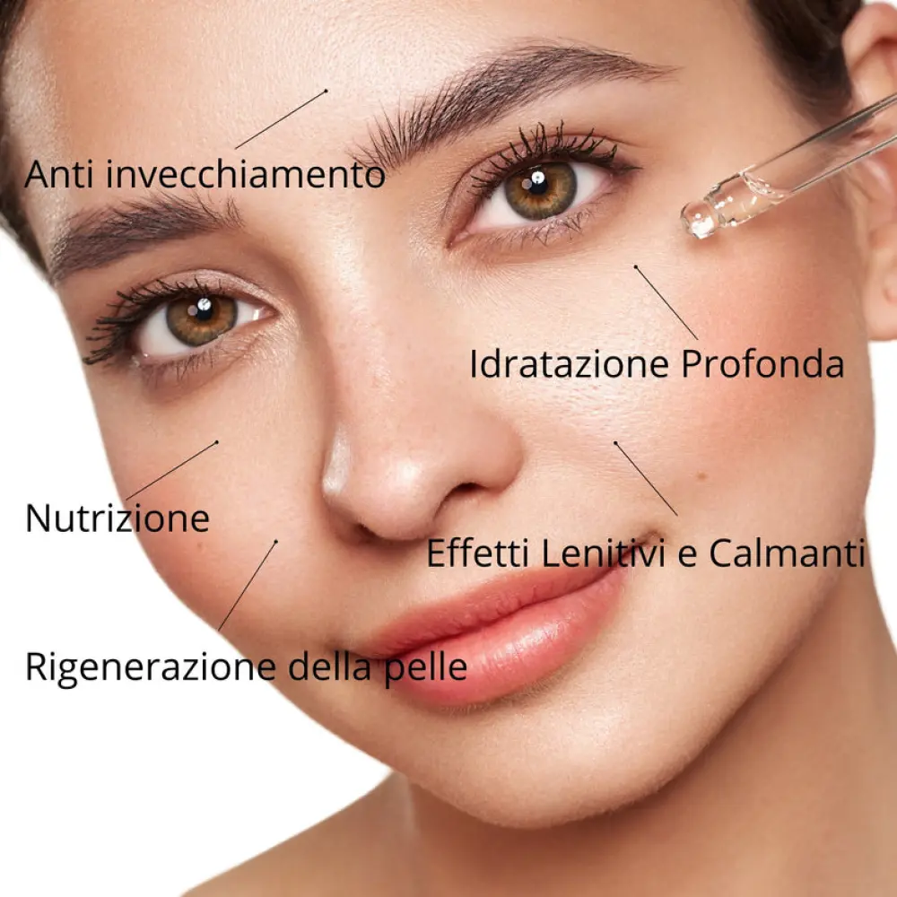 3_b92fb8ef-d5ca-4c89-86bb-33e711a96e10