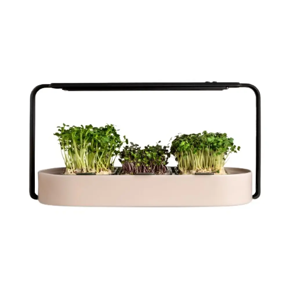 beigelarge_2x_a0c0c098-2cbb-48da-9f01-8fb9164d593d-removebg-preview