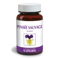 Capture d’écran 2023-03-17 à 10.51.17