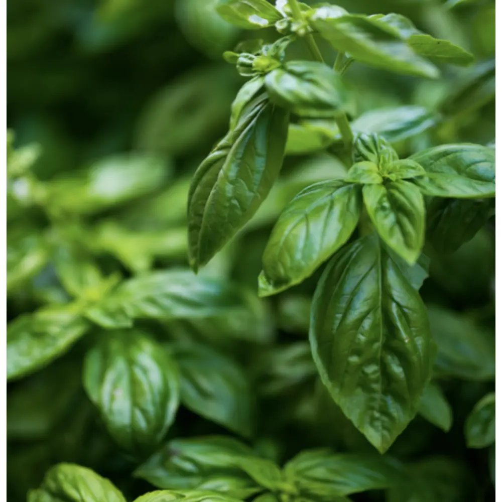 Screenshot 2023-12-18 at 15.12.07