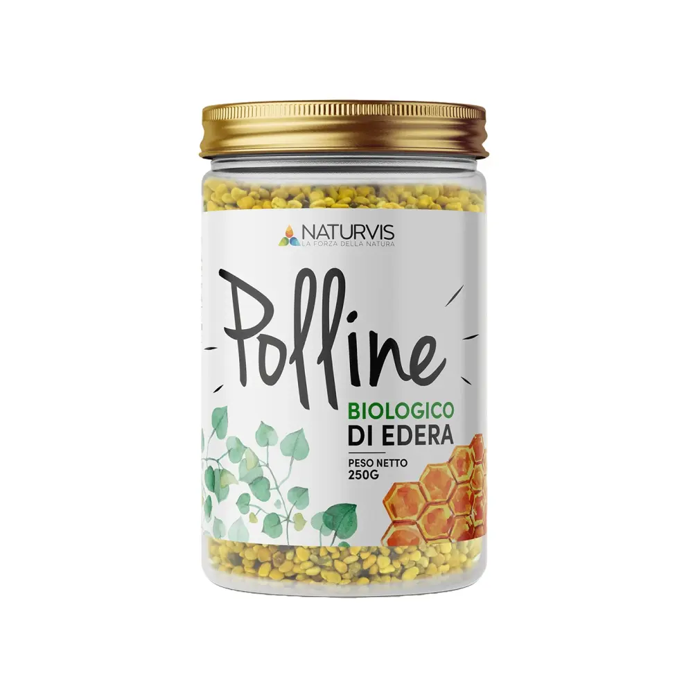 Progetto Rimuovi sfondo (5)