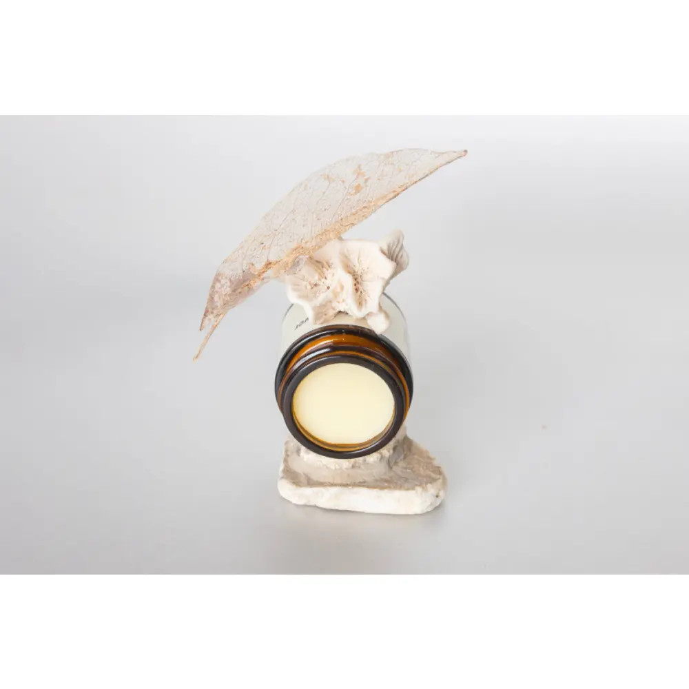 LaMaisonnette_LeJardind_Hiver_Website_2