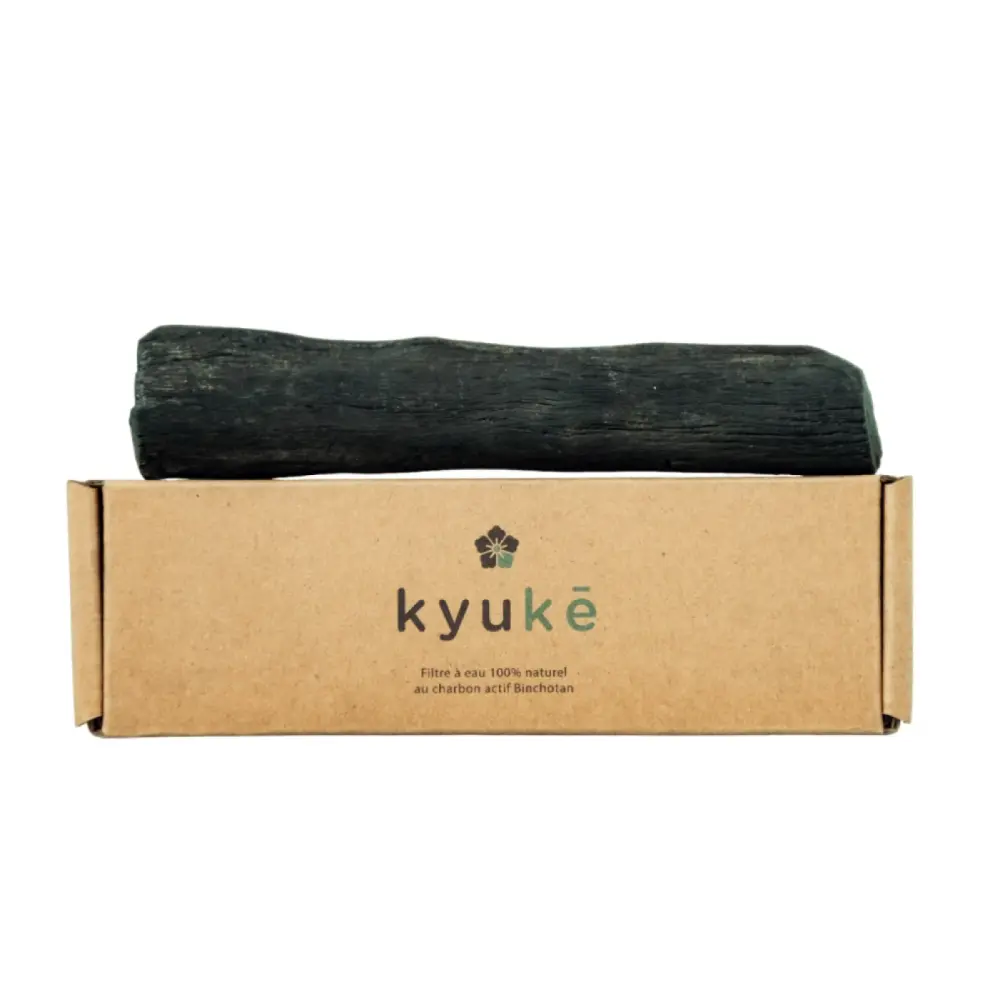 1 charbon actif Binchotan ~ Taille XL-PhotoRoom.png-PhotoRoom 2