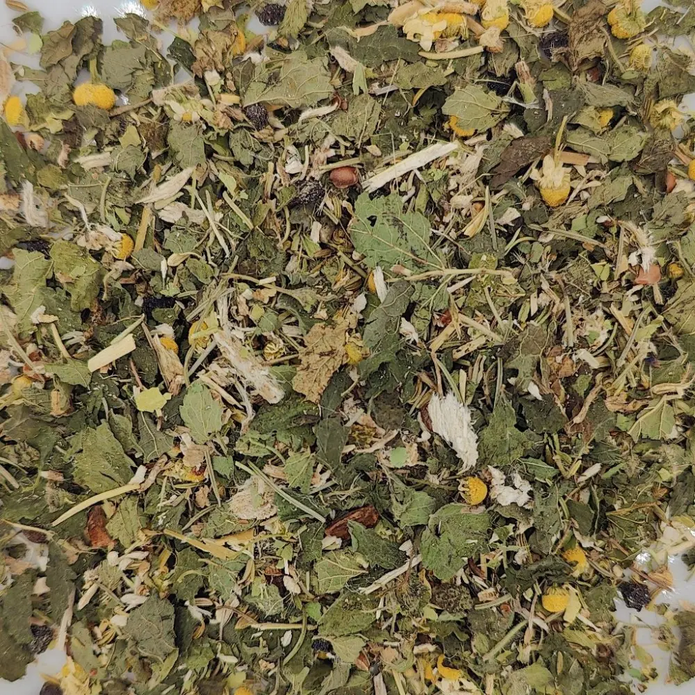 Flambée intestinale plantes