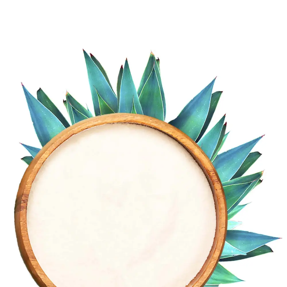 Inulined_AgaveBio-amoseedsspecialistedessuperalimentsBio_1200x