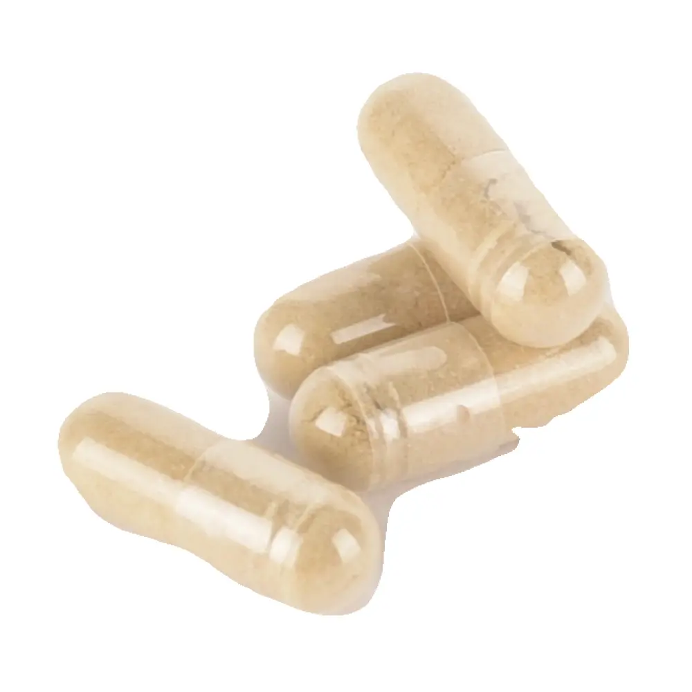 DSC_4403-3770014345004