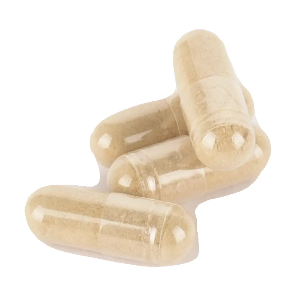 DSC_4405-3770014345004