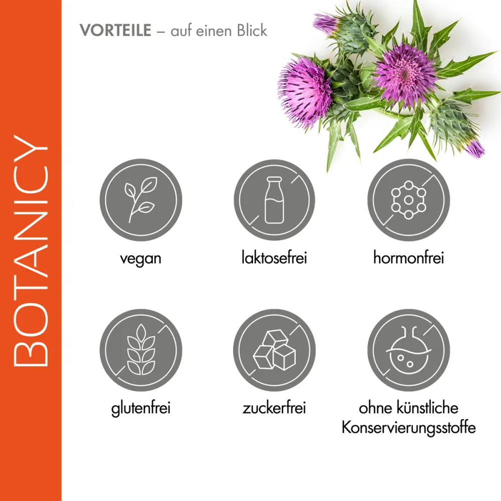 a528-leber-fit-17504207-04-1200px