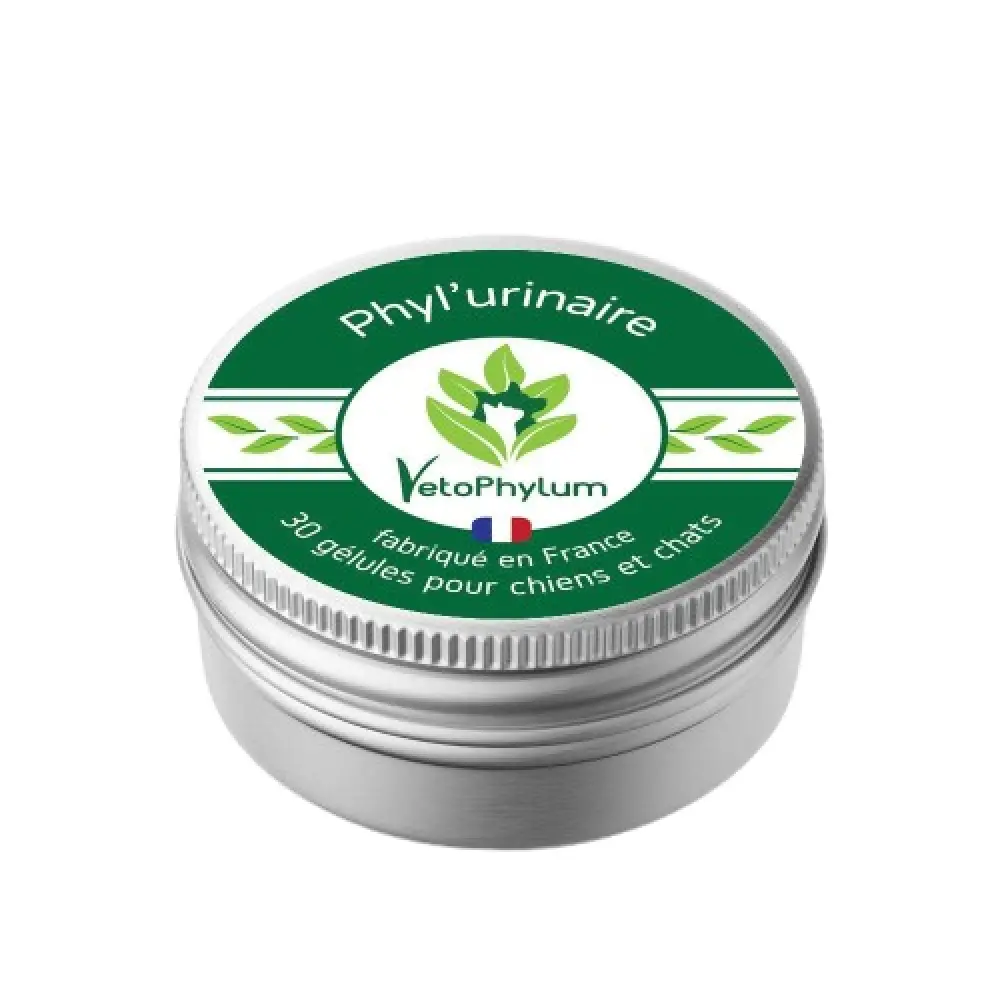 boite9-removebg-preview