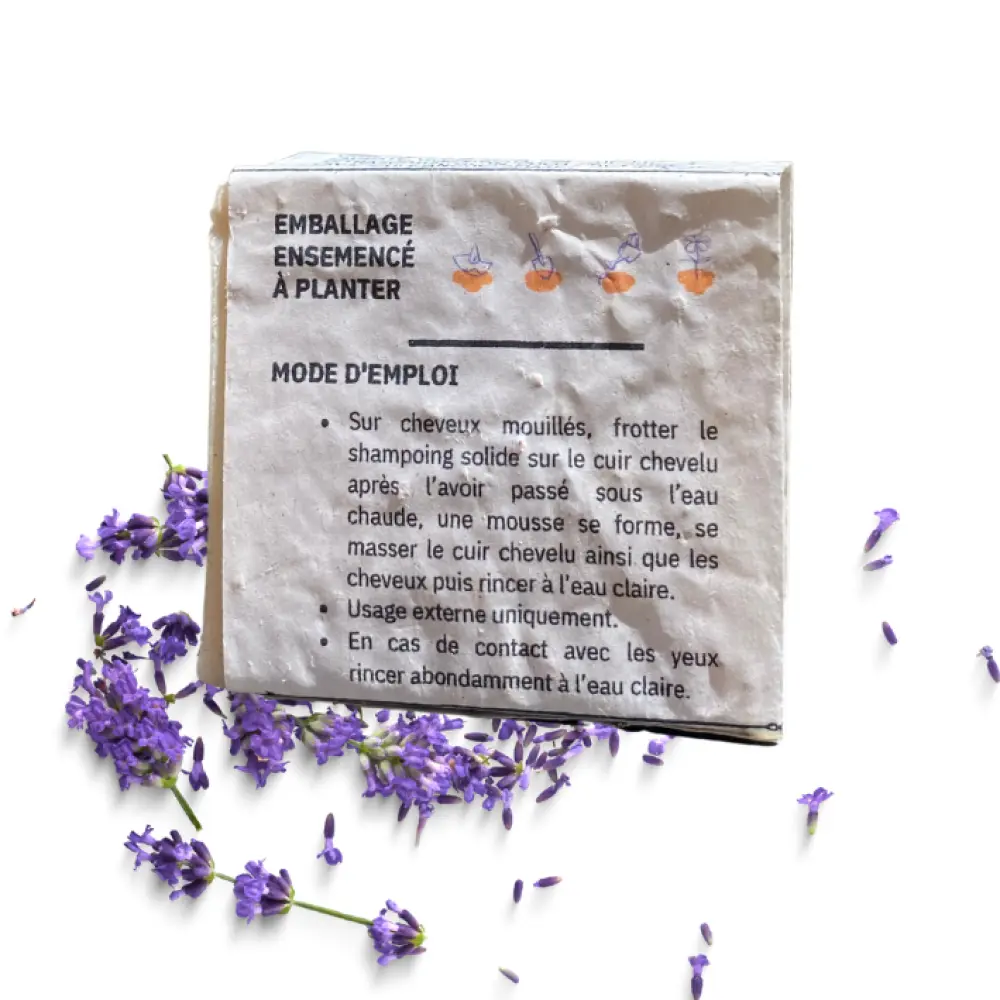 b2a119_31fe7590ec62407baa06669450f8fb35~mv2