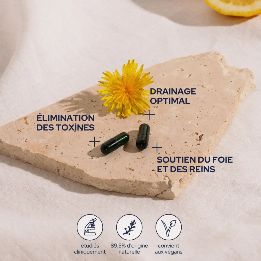 2_bb7836ec-171c-4b07-a368-cbf4ae4371cb_1400x