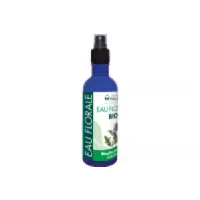 maloe-ef-menthe-poivree-200ml-fr-1base