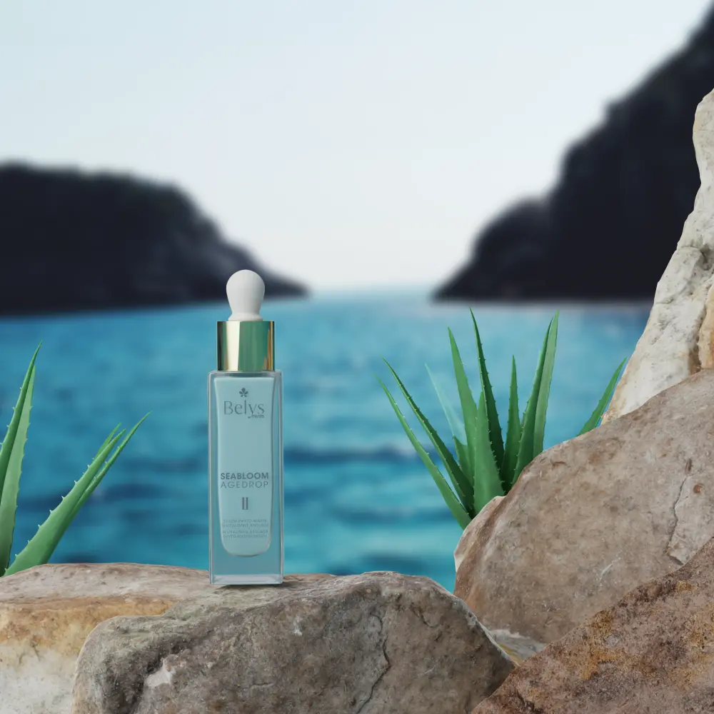 II-Carrousel-Insta-3