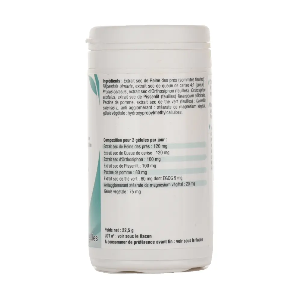 DSC_2253-3760235030018