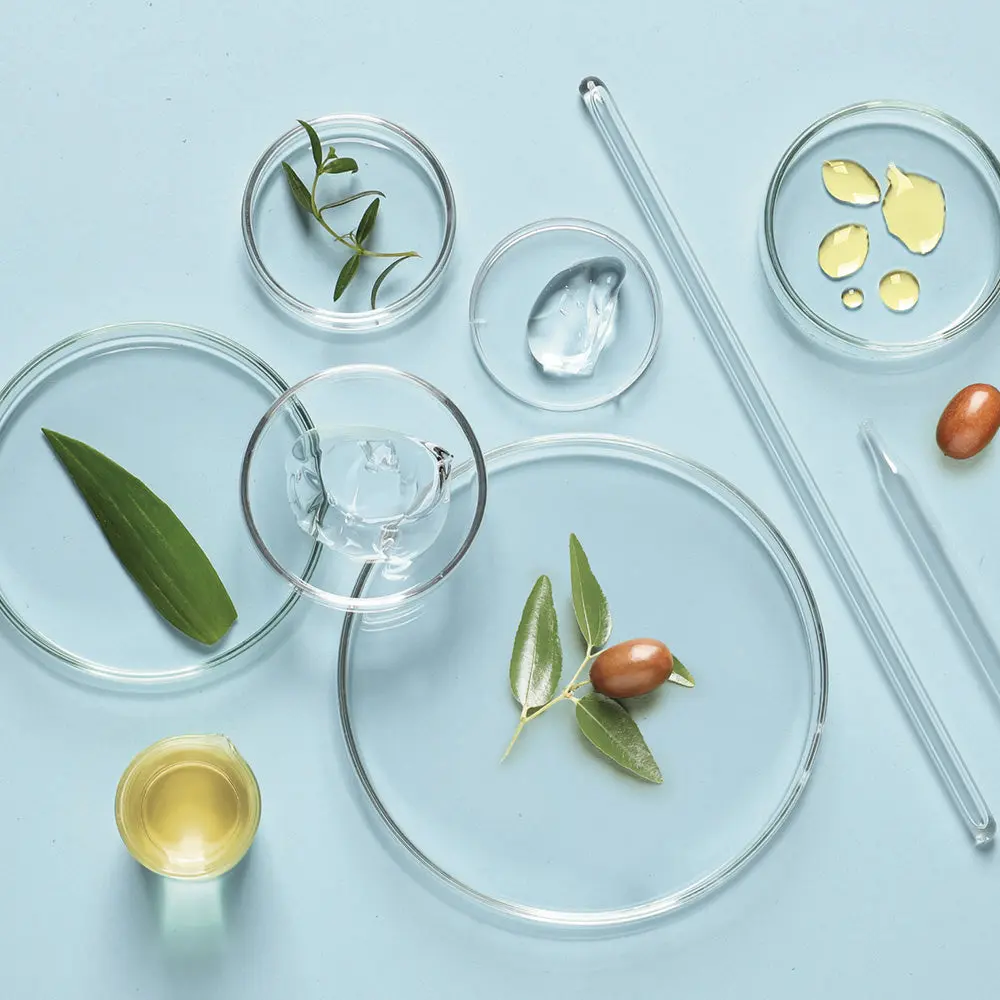 mise-en-scene-jojoba_3524b835-e236-443e-906f-507710e5b3cf